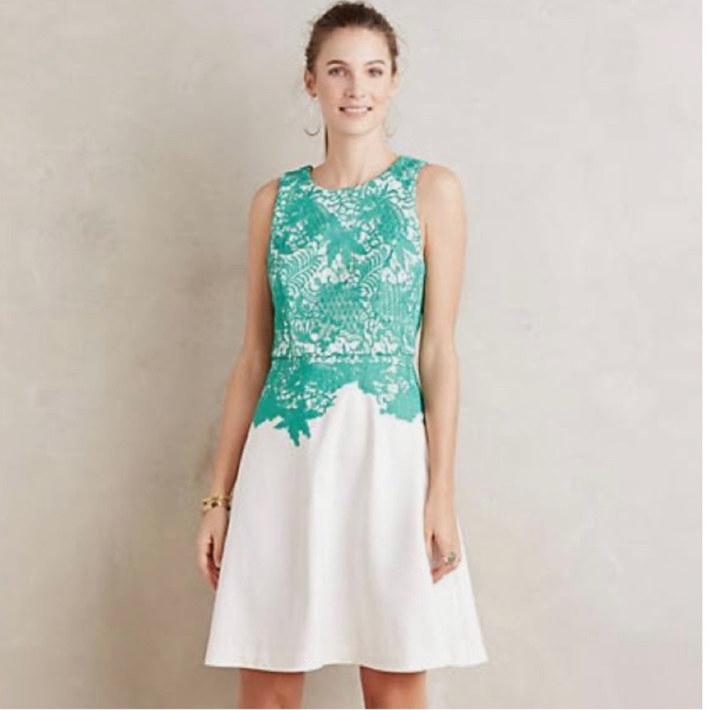 Anthropologie Moulinette Soeurs Arbor Lace dress Fit and Flare size 8